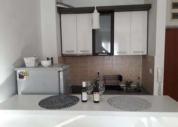 Apartment Flat Iva Podgorica